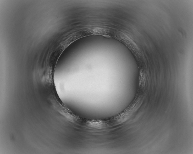 X0000112370189200908131525