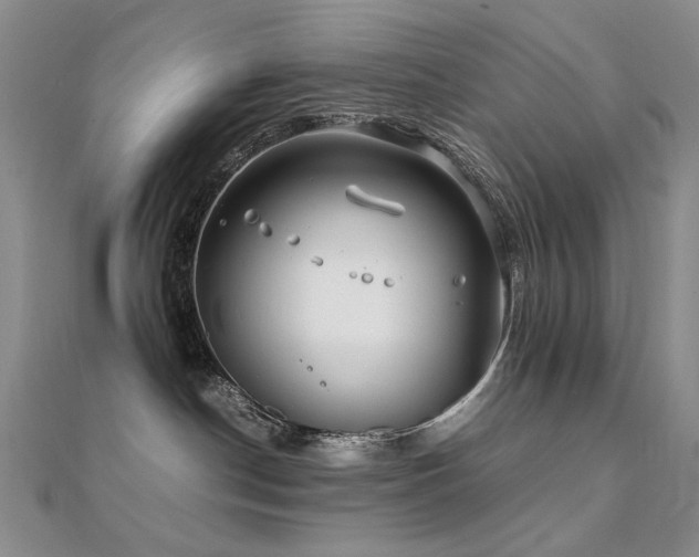 X0000112370190200908131525