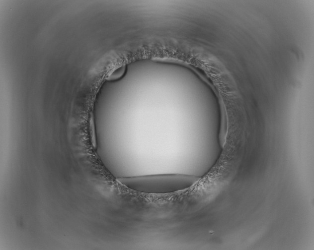 X0000112370192200908131525