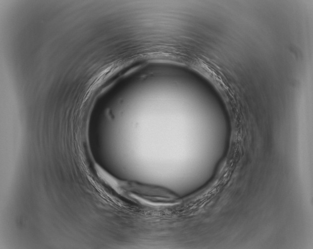 X0000112370193200908131525