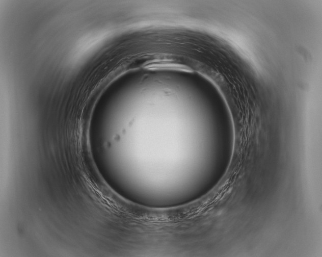 X0000112370194200908131525