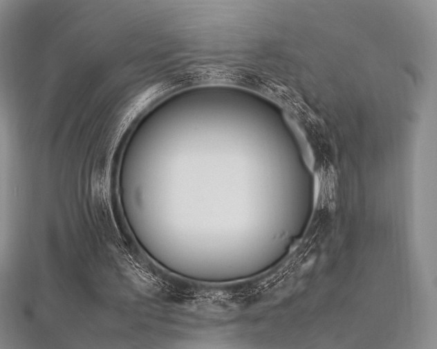 X0000112370195200908131525