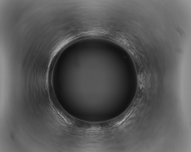 X0000112370196200908131525