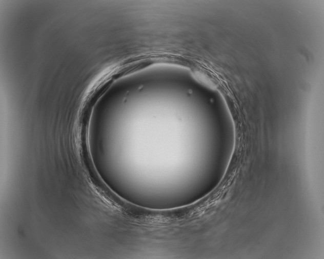 X0000112370197200908131525