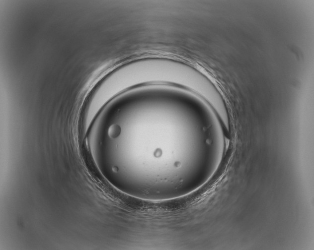 X0000112370199200908131525