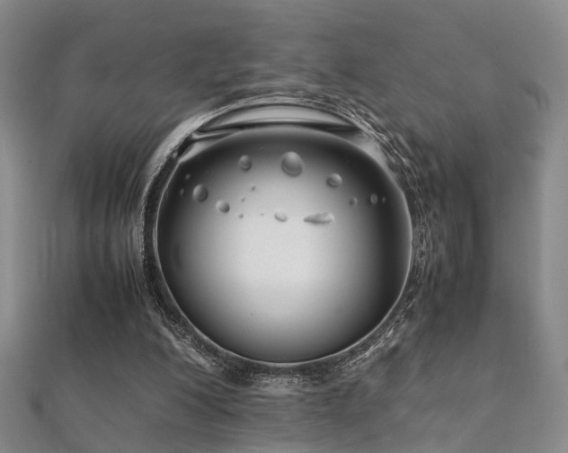 X0000112370200200908131525