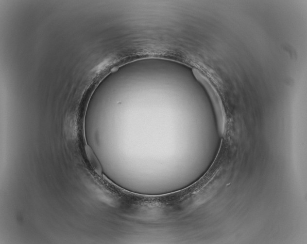 X0000112370203200908131525