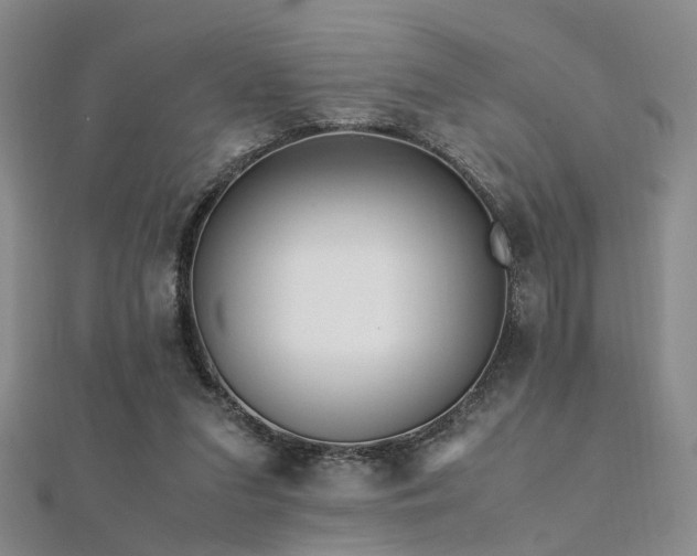 X0000112370207200908131524