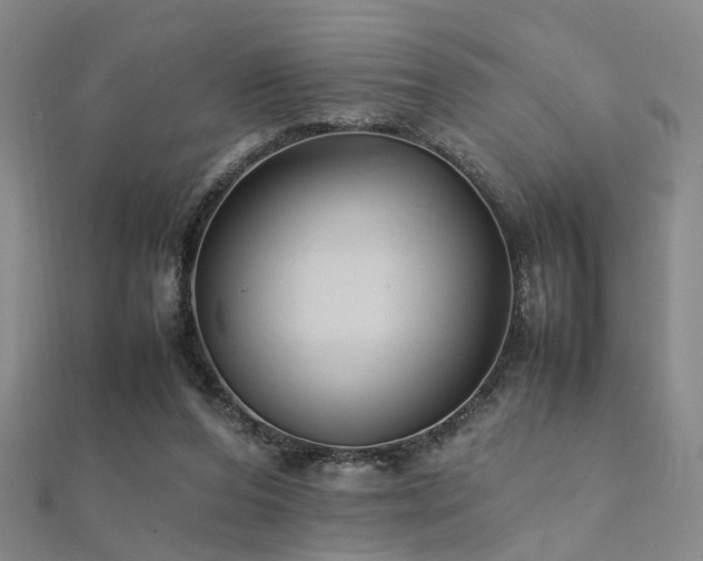 X0000112370208200908131524