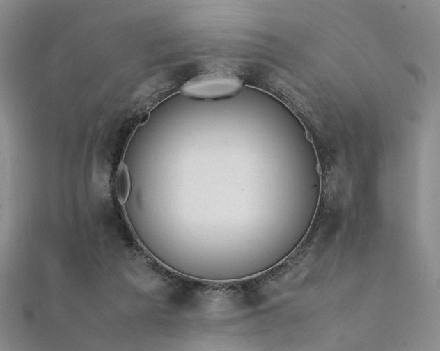 X0000112370209200908131524