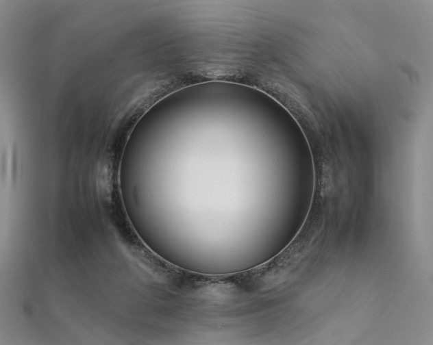 X0000112370210200908131524