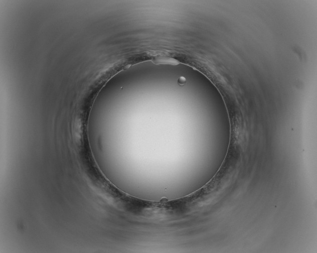 X0000112370211200908131524