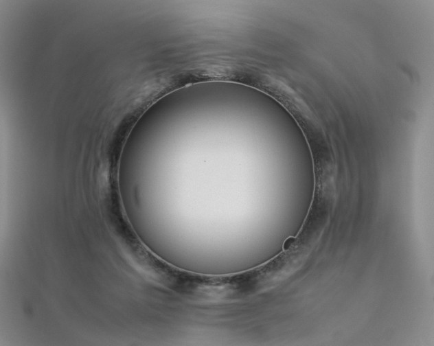 X0000112370213200908131524