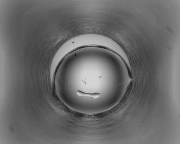 X0000112370215200908131524