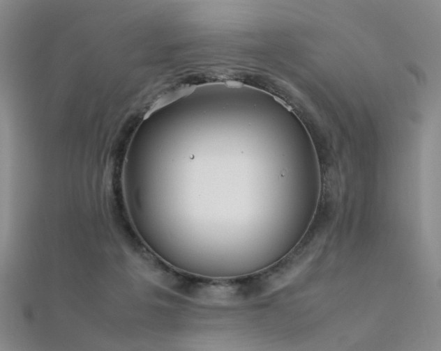 X0000112370217200908131524