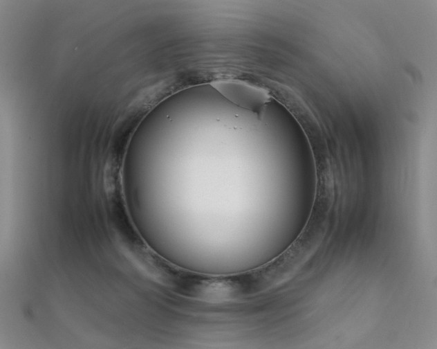 X0000112370218200908131524