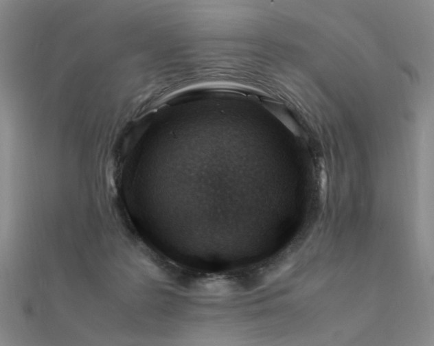 X0000112370219200908131524