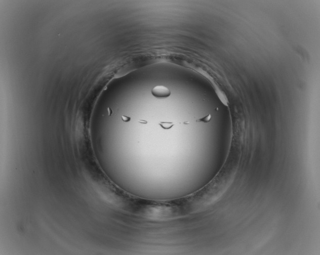 X0000112370220200908131524