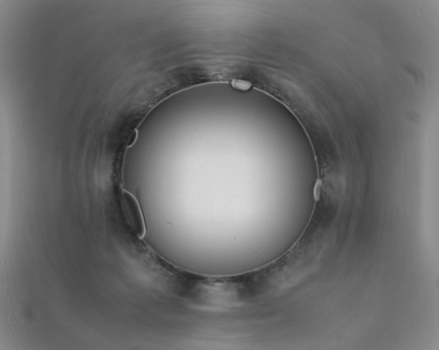 X0000112370221200908131524