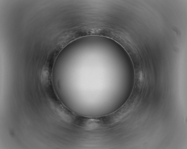 X0000112370222200908131524