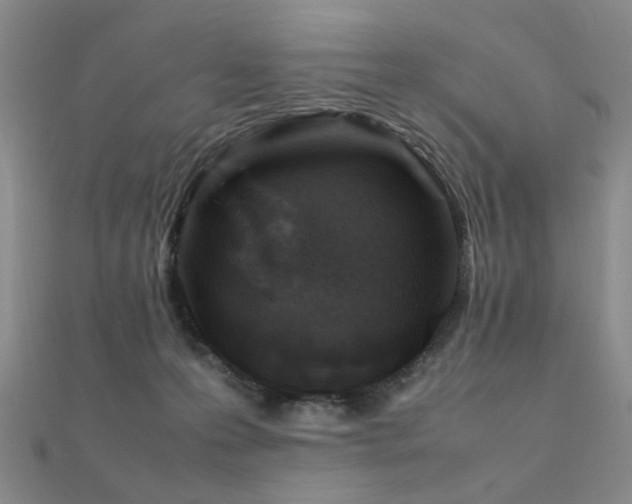 X0000112370223200908131524