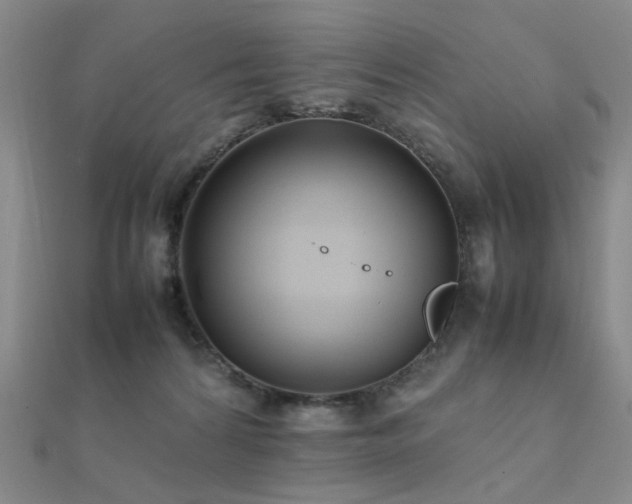 X0000112370224200908131524