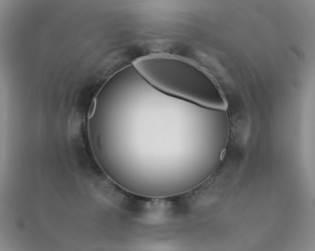 X0000112370225200908131524