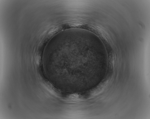 X0000112370227200908131524