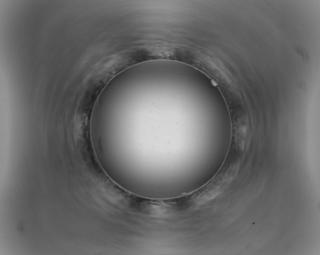 X0000112370229200908131524