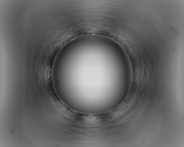 X0000112370230200908131524