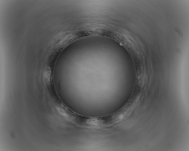 X0000112370231200908131524