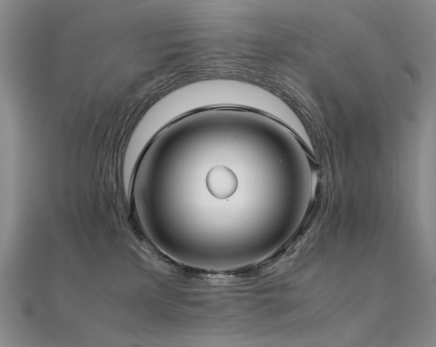 X0000112370233200908131524