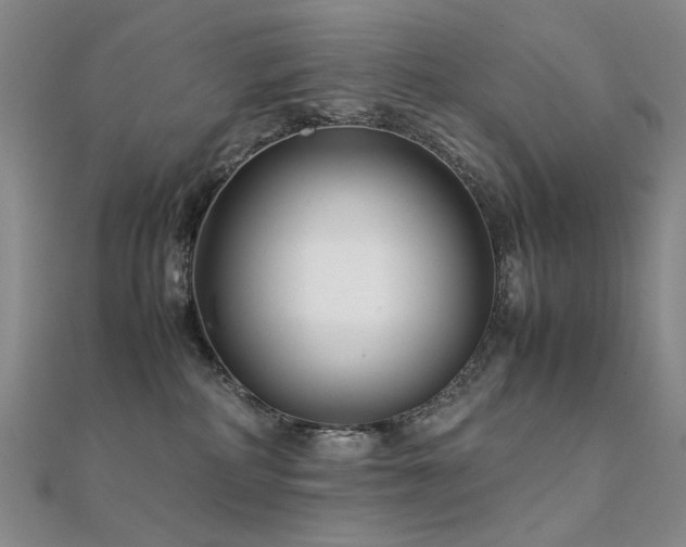 X0000112370234200908131524