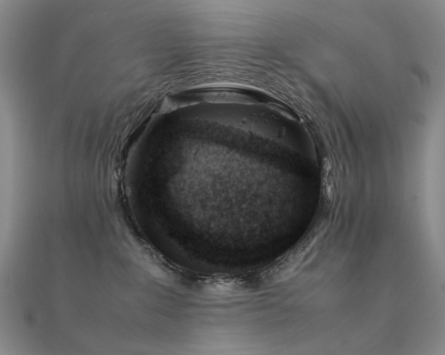 X0000112370235200908131524