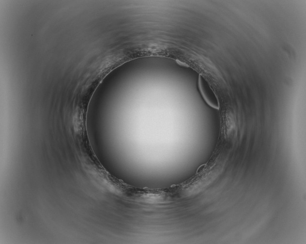 X0000112370236200908131524