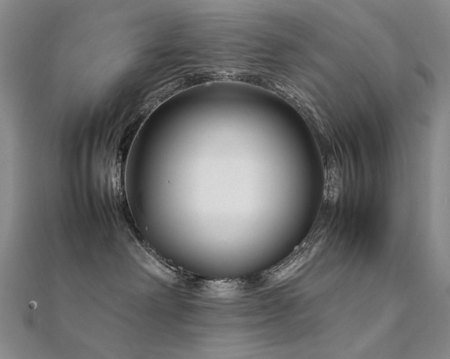 X0000112370238200908131524