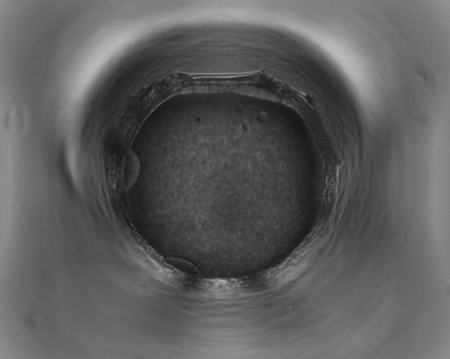 X0000112370239200908131524