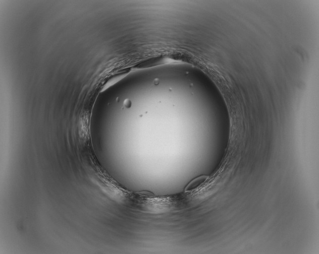 X0000112370240200908131524