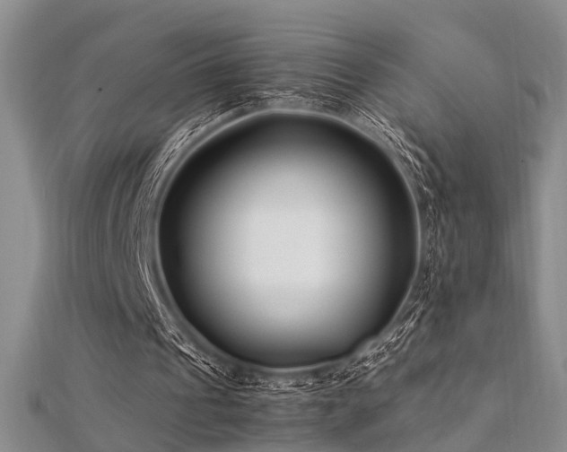 X0000112370241200908131523