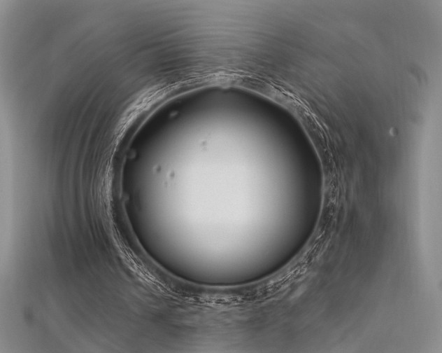 X0000112370242200908131523