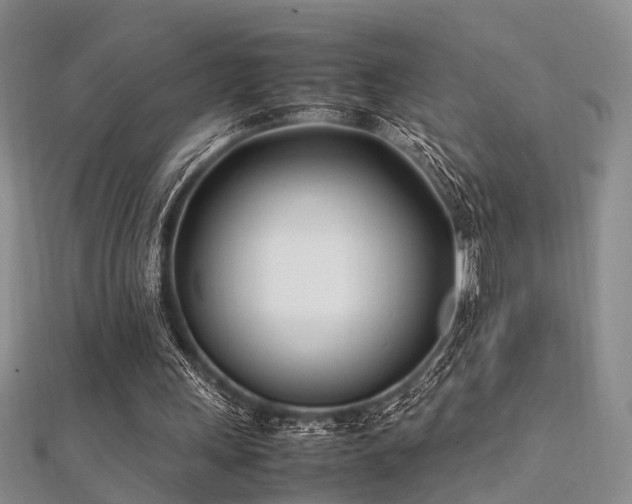 X0000112370243200908131523