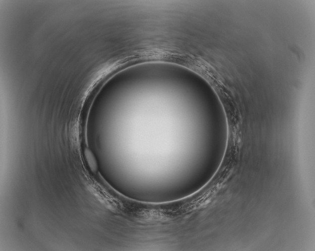 X0000112370244200908131523