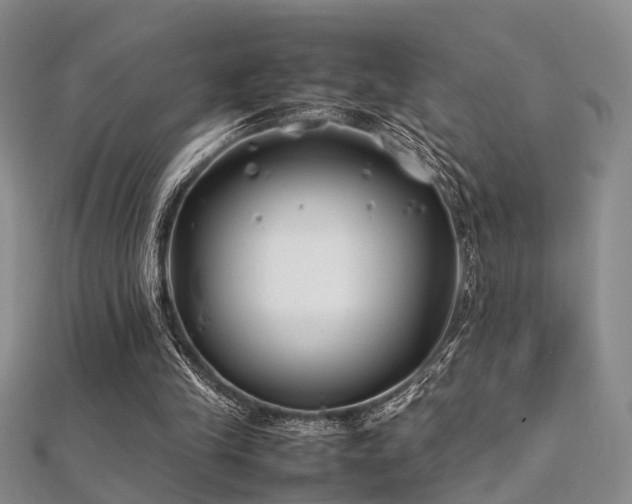 X0000112370245200908131523