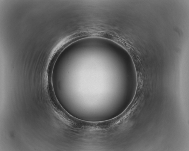 X0000112370246200908131523