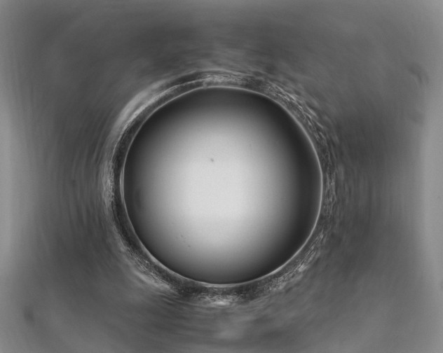 X0000112370247200908131523