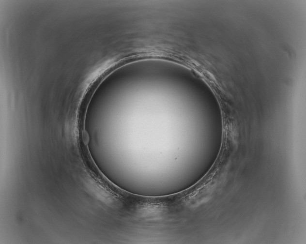 X0000112370248200908131523