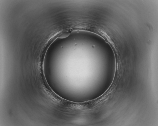 X0000112370249200908131523