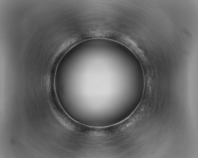 X0000112370250200908131523