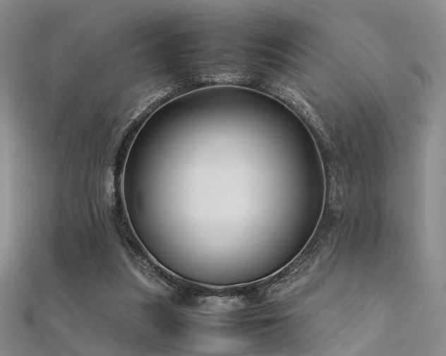 X0000112370251200908131523