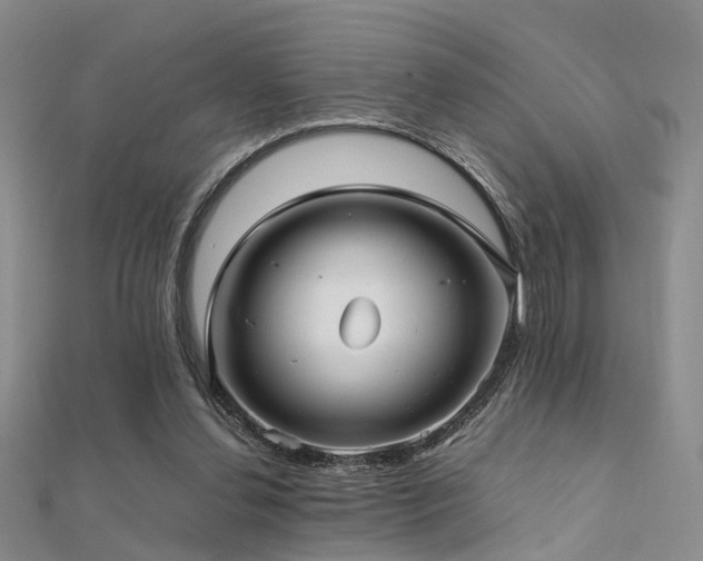 X0000112370252200908131523